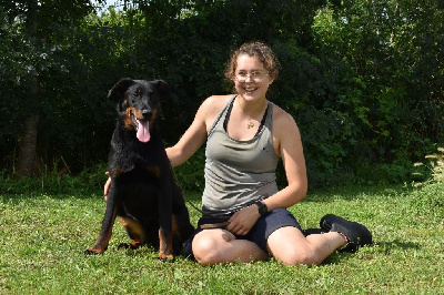 Taïga noire et feu collier bordeaux