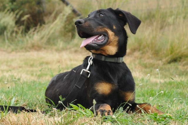 Erra du berceau de bfamily