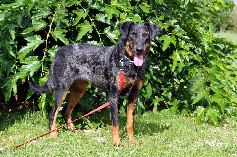 Darma du berceau de bfamily