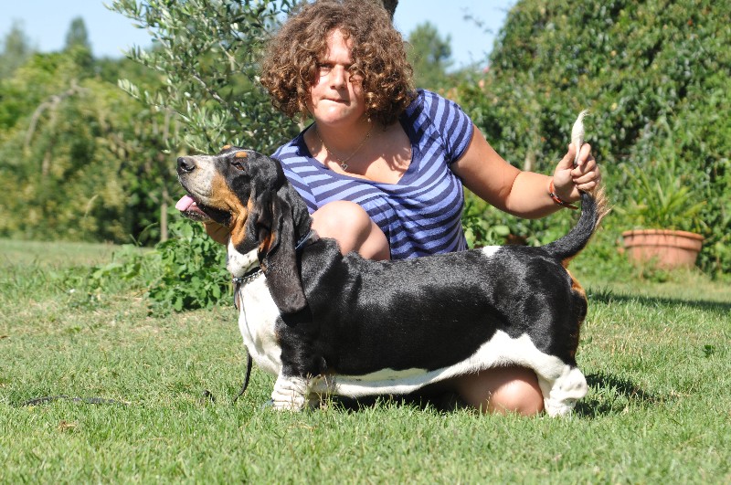 Eureka du berceau de bfamily