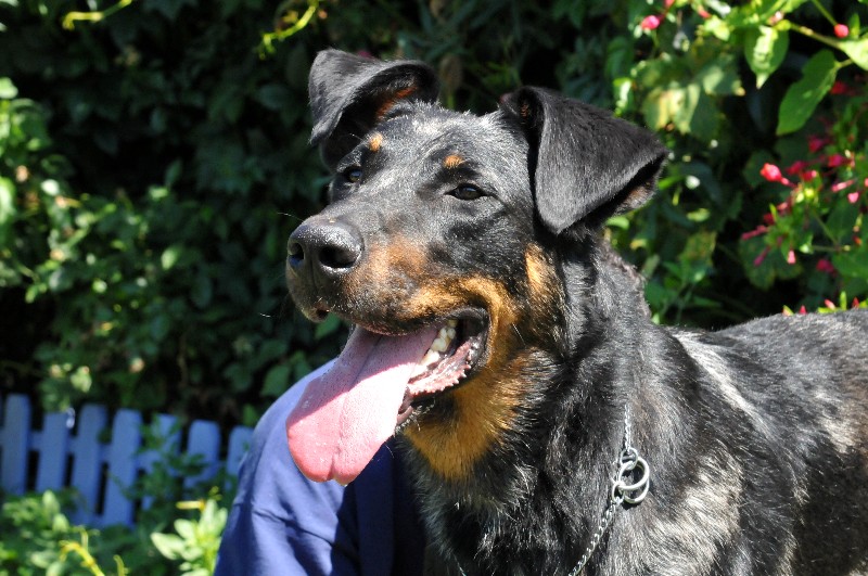 Funy du berceau de bfamily