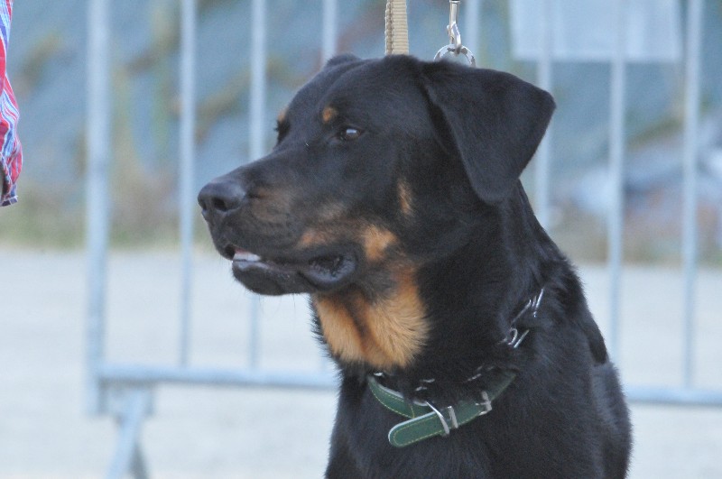 G'rummy du berceau de bfamily