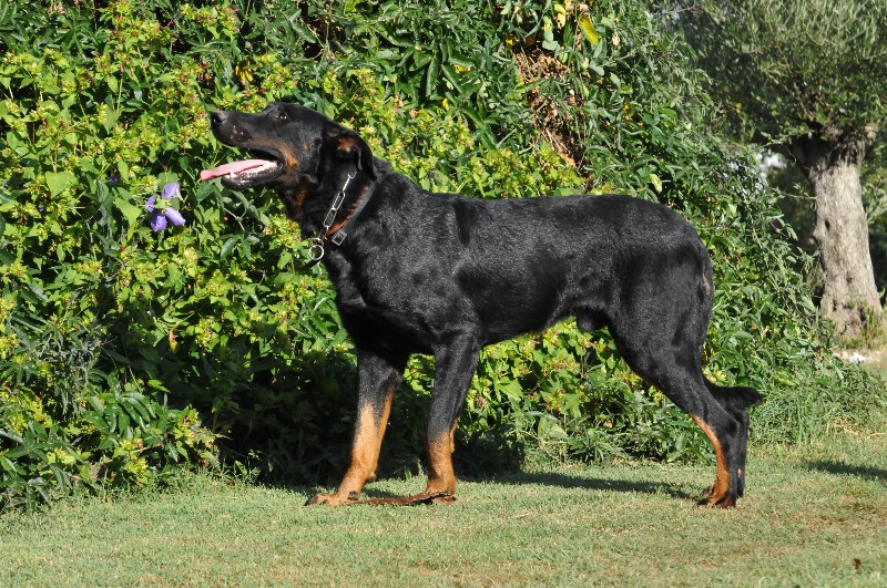 Igazz du berceau de bfamily