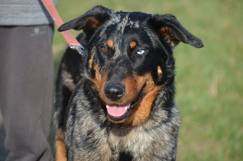 Leelee belle oeil du berceau de bfamily