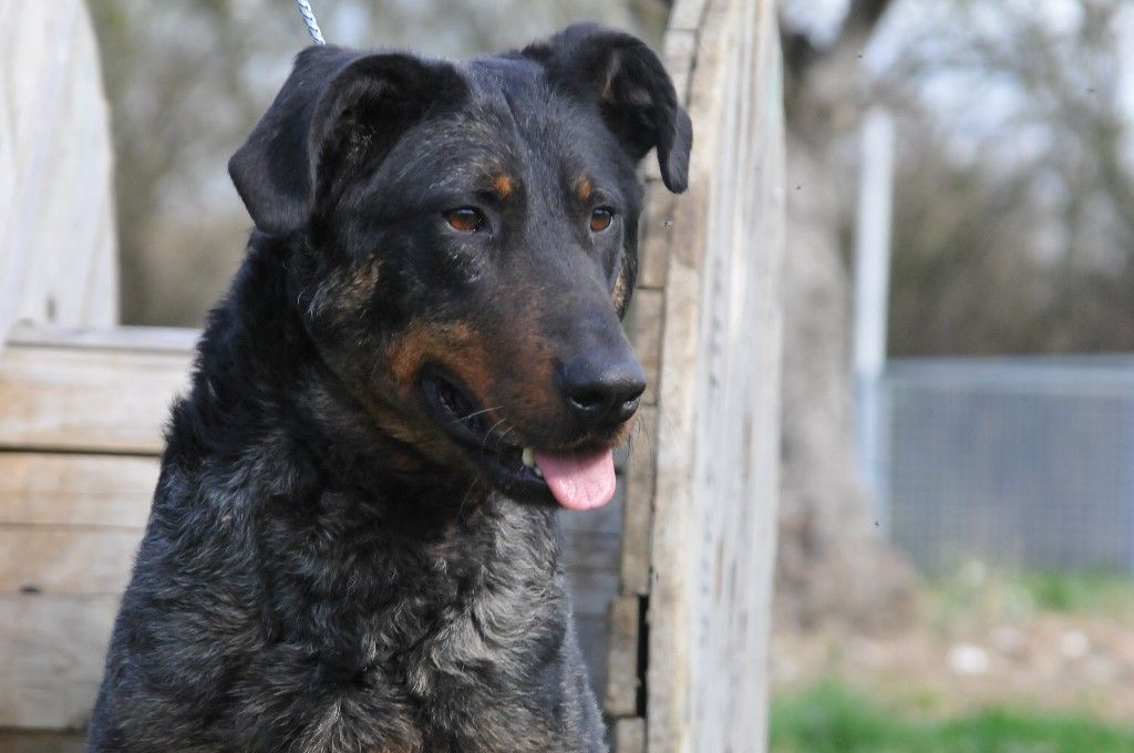 Isha du berceau de bfamily