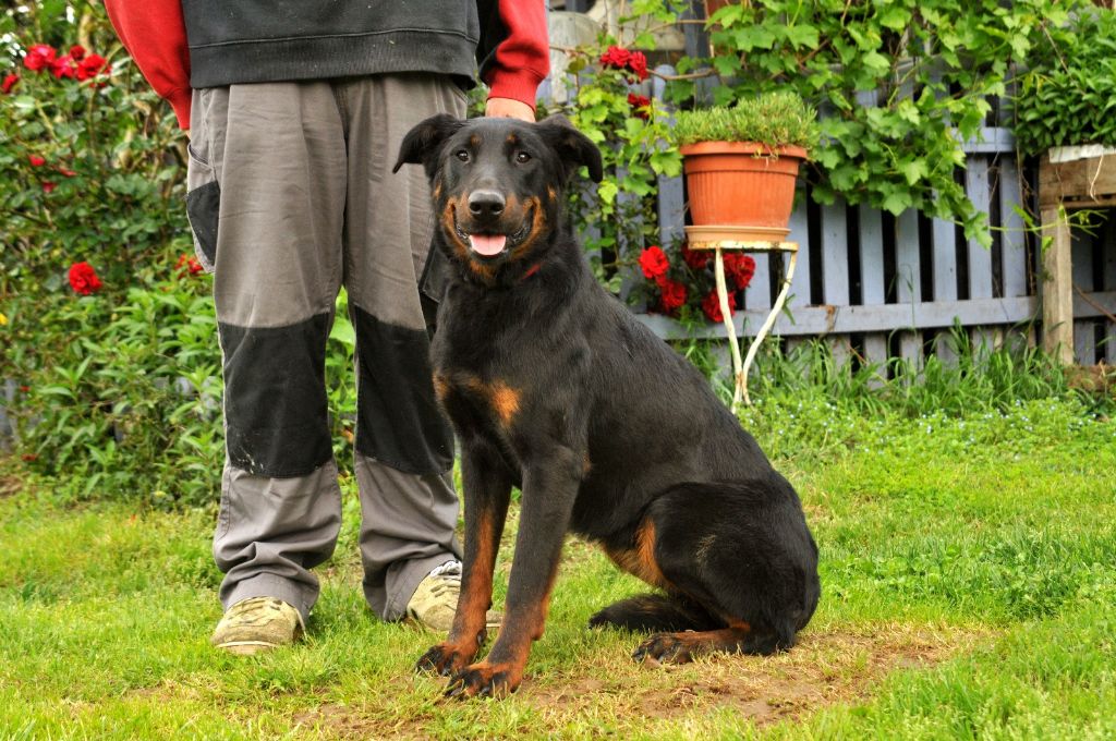 Ondine du berceau de bfamily