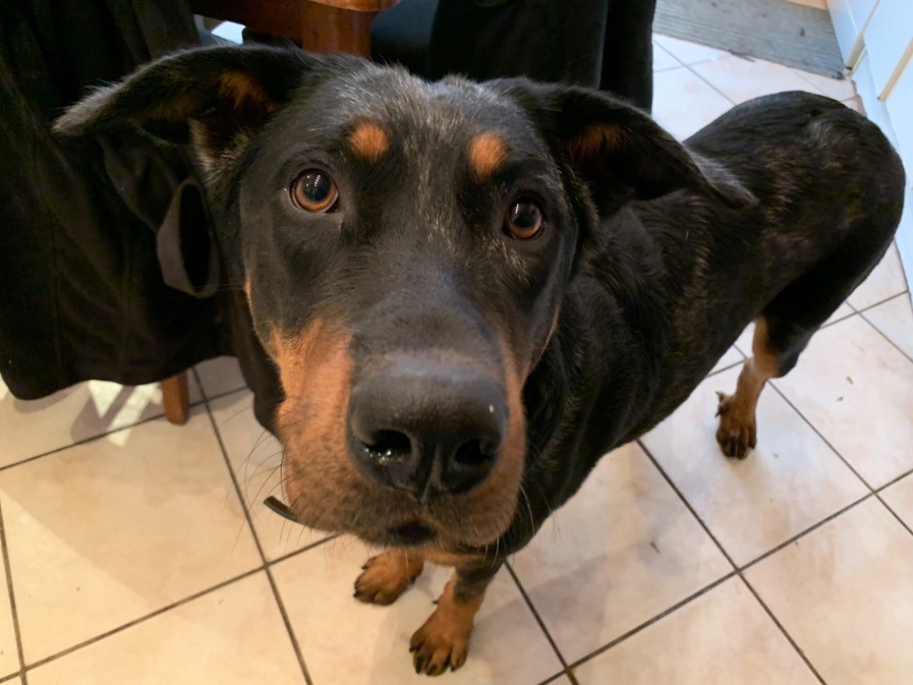 Padmé du berceau de bfamily